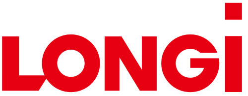 logo lingi