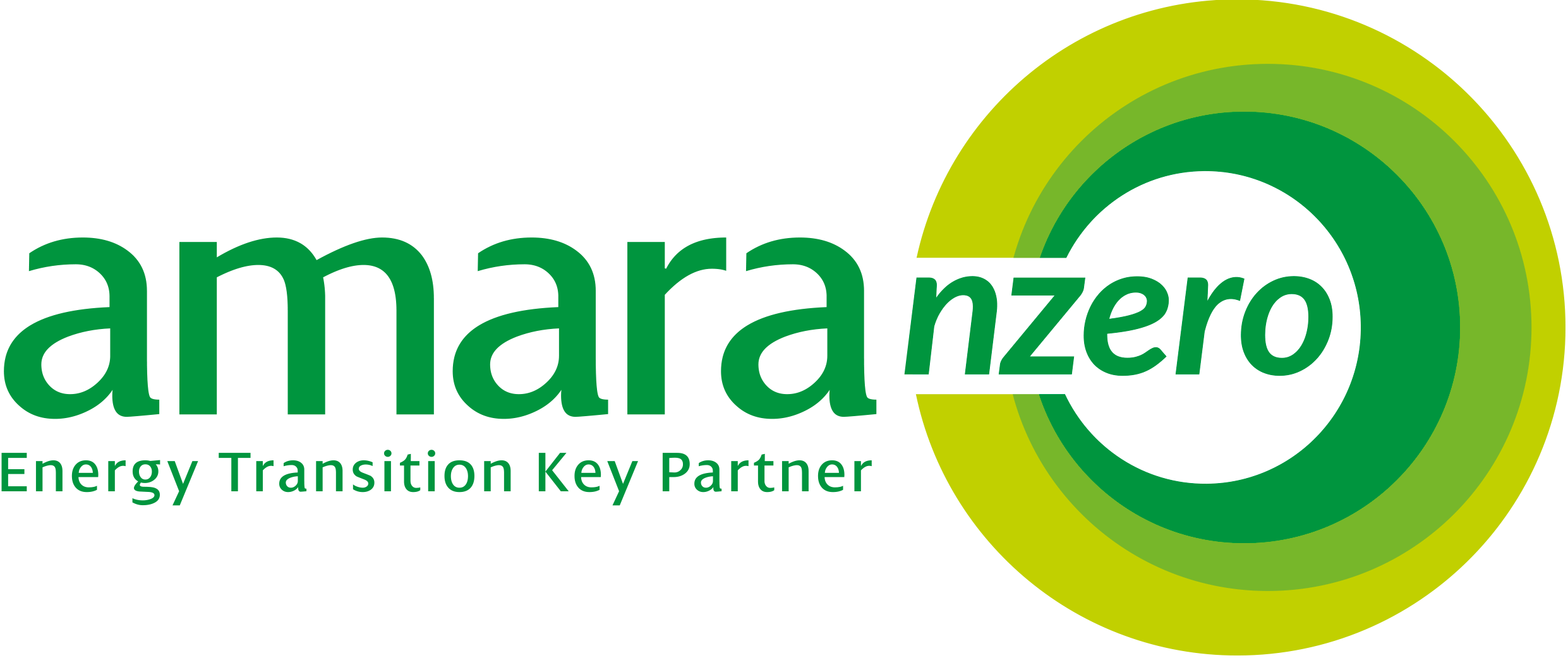 Amara NZero logo